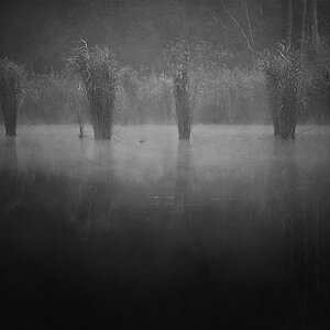 Nebel 04