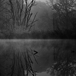 Nebel 05