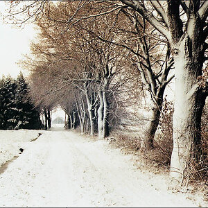 Winter am Niederrhein