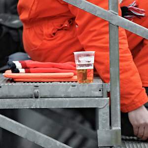 bier