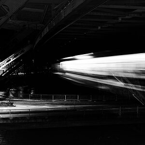 DSC8883 sw