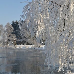 Winter2010