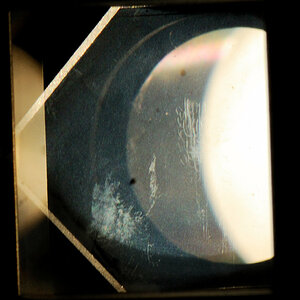 DSC 0249