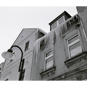 Nikon F100, Ilford Delta 400