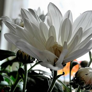 Nikon Coolpix P7000
Belichtung: 1/60 s
Blende: 3.2
Brennweite (KB): 35 mm
ISO: 100