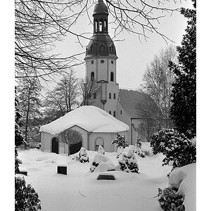 Nikon F100, Ilford Delta 400