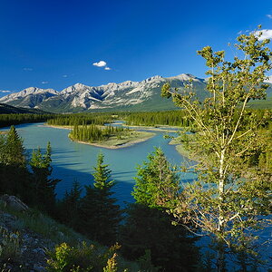 DSC5086 NF-F
Athabasca River
Jasper NP