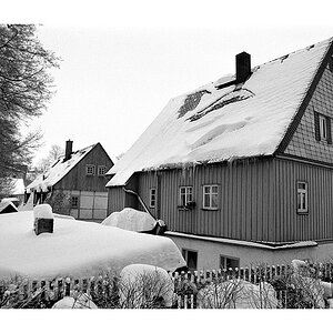 Nikon F100, Ilford Delta 400