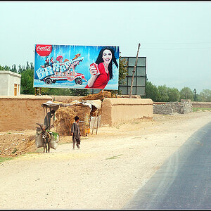 kunduz03k