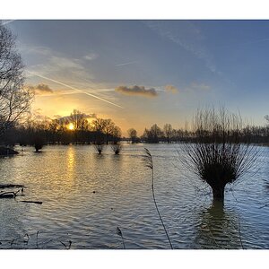 Hochwasser bei Schwülper