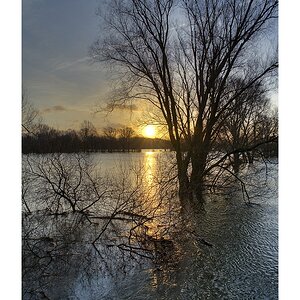 Hochwasser bei Schwülper