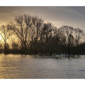 Hochwasser bei Schwülper