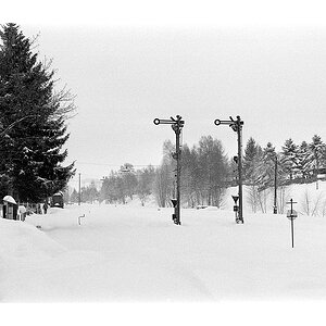 Nikon F100, Ilford Delta 400