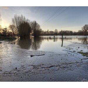 Hochwasser bei Schwülper