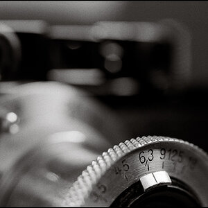 Leica II 12 2010 8
