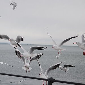 Landeanflug