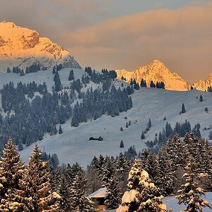Wintermorgen 2010