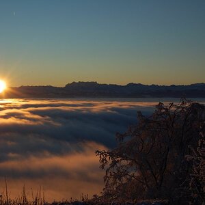 Uetliberg früh am Morgen.. eisig kalt.