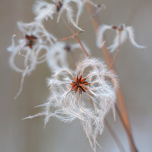 20101202 170022