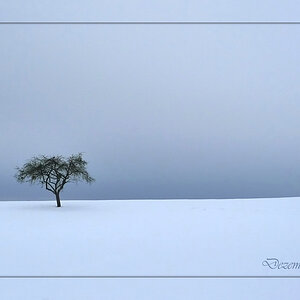 Dezember2010 1000x640