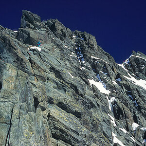 Image11