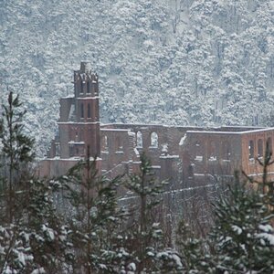 Aufnahme vom Ebersberg (Bad Dürkheim) auf die Klosterruine Limburg, ringsherum die schneebedeckten Tannen des Pfälzerwaldes