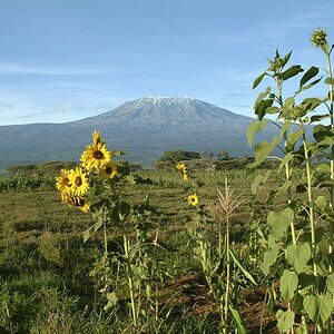 Kili 06