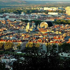 DSC 5486