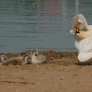 "Waschen ab ins Bett" Seepark Lünen