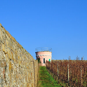 rosa Turm 1