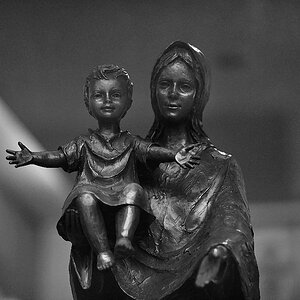 DSC 5558 bw