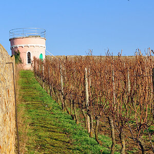 rosa Turm 2