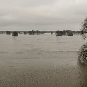 D30 6988f: Elbhochwasser 01/2011 bei Neu Darchau, Niedersachsen