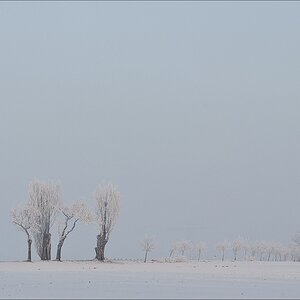 2011 02 01 08 31 50