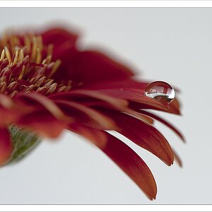 2011 01 14 13 43 36