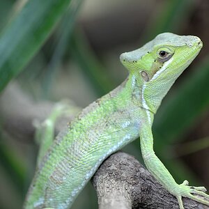DSC 1461