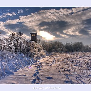 D4C 0572 3 4 tonemapped nff