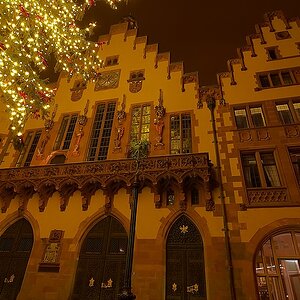 SC DSC 4286