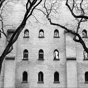 03 Strassburg Bäume3