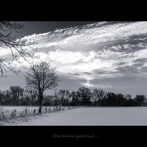 D4C 0538 sw