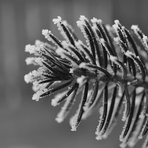 Macrotest1