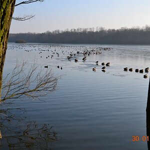 Unterbacher See 028 01