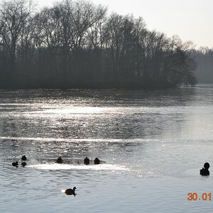 Unterbacher See 032 01