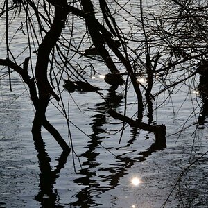 Unterbacher See 035 01