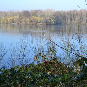 Unterbacher See 050 01