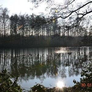 Unterbacher See 056 01