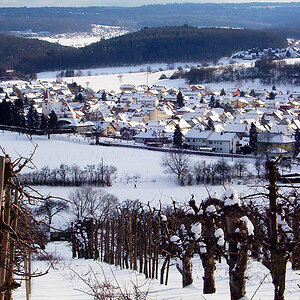 Winter