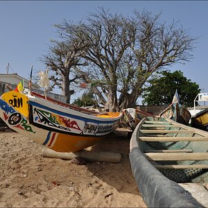 Senegal Einleitung 03