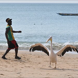 Senegal Musik 06