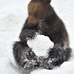 Winterspiel